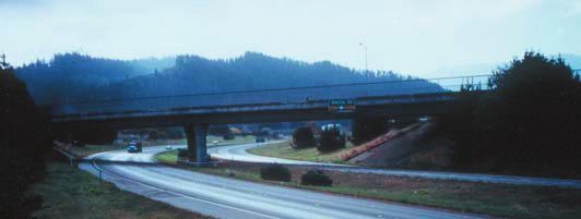 Figure 1. North side view of Painter Street Overpass. The deck is a multi-cell box girder, 1.