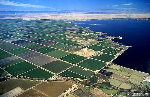 Agricultural Conservation Options 9 submitted options Classified into 6 conservation measures Advanced irrigation scheduling Deficit irrigation On-farm irrigation system improvements Controlled