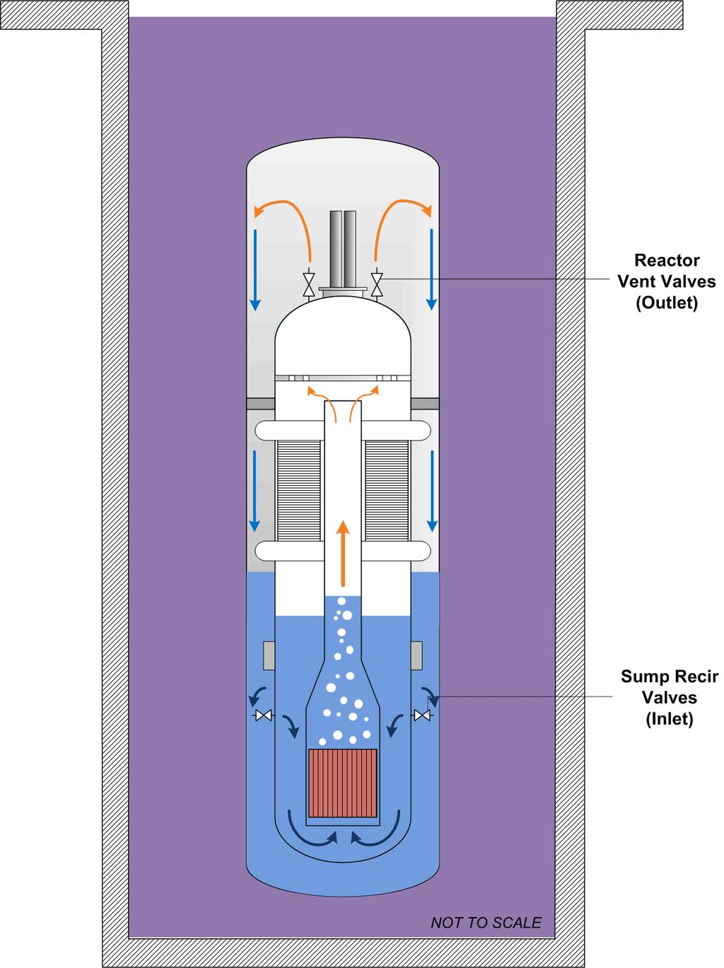 Decay Heat Removal Using the Containment Reactor Vessel steam is vented through the reactor vent valves (flow limiter) Steam condenses on containment Condensate collects in lower containment