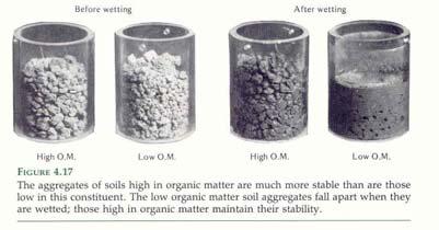 !!! Water Stable Aggregates I Water Stable Aggregates II The Classic Photo Aggregates on left are more water stable, i.e., aggregate stays together and do not separate into the its components, i.