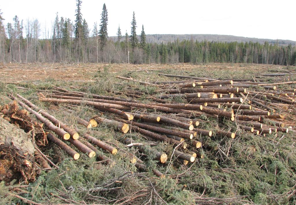 Where biomass may come from# 1 Crown forest operation All Crown forest in AB is under FMA or other