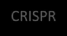 CRISPR CRISPRs (Clustered Regularly Interspaced Short Palindromic Repeats) are DNA loci containing short repetitions of base sequences which separated by short "spacer DNA" from