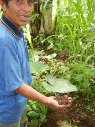 Gender and local soil knowledge Philippines Gendered soil knowledge