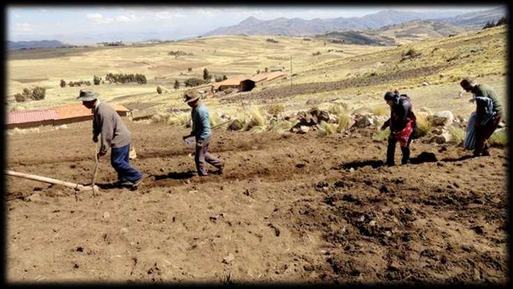 Research Findings: Gender, tillage, and mechanization Bolivia