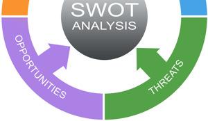 your project s values (Q&A) Work on a PEST and SWOT analysis
