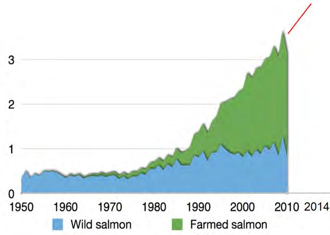 Megatrends Tremendous growth in global demand for salmon Consumption driven by good fit with consumer trends and new products; - Easy to prepare - Ready to eat Commercial production of salmon in