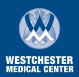 Attachment A Service Planning Survey Westchester Medical Center Information Systems Endoscopy Documentation and Imaging System Westchester Medical