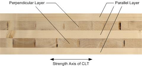 timber (clt) 4 1/8 to 19 1/2 10 X40 8 X64  timber