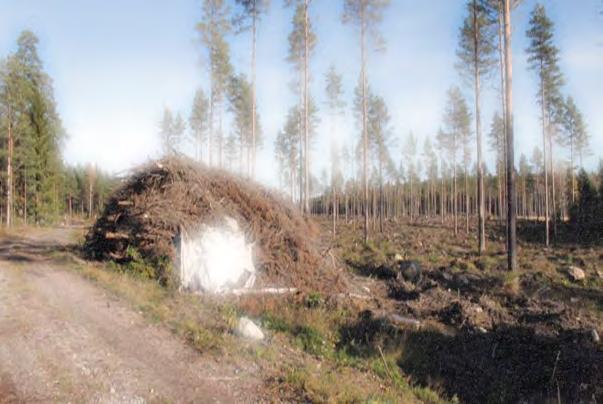 Forest residues from final
