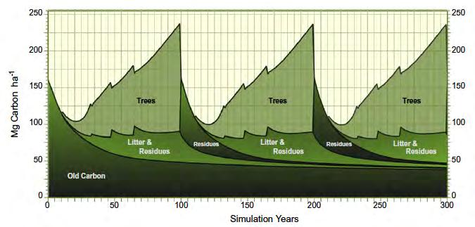 Carbon in a modelled forest system 3 rotations, 300 years