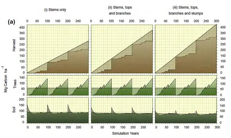 Biomass in harvested products, in trees and in soil: 3 rotations with