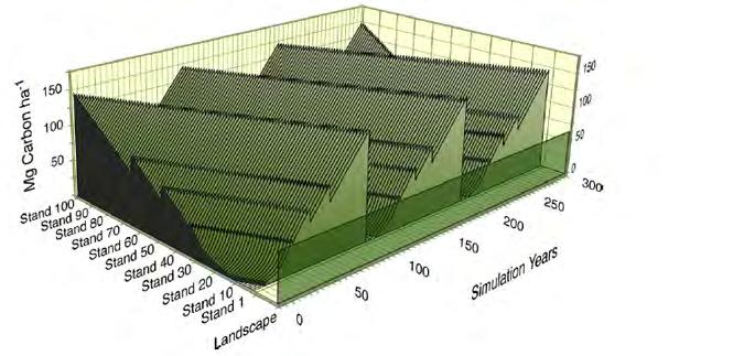 A total landscape with 100 equal stands and average carbon