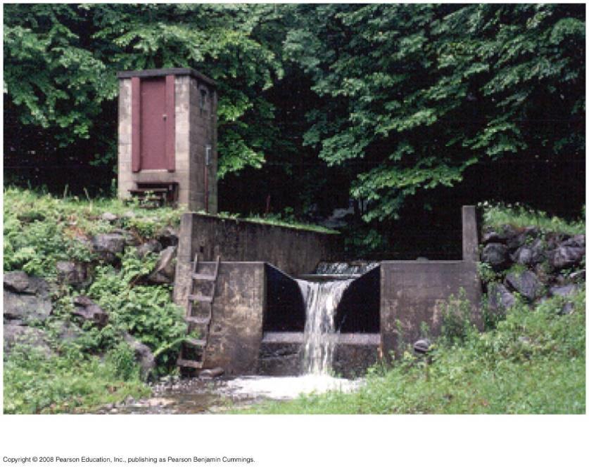 Case Study: Nutrient Cycling in the Hubbard Brook Experimental Forest Vegetation strongly regulates nutrient cycling Research projects monitor ecosystem dynamics over long periods The Hubbard Brook