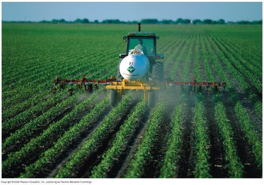 Nutrient Enrichment: Agriculture and Nitrogen Cycling The quality of soil varies with the amount of organic material it contains Agriculture removes from ecosystems nutrients that would ordinarily be