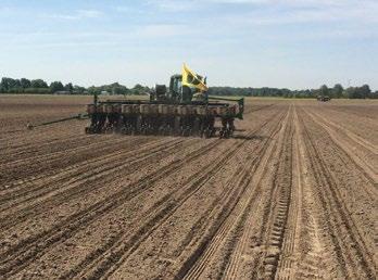 It s been a long and interesting journey for the PFR, team testing the concept and reality of multi-hybrid planting.