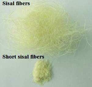 Figure 2. Sisal fiber (left), sisal fiber structure in interaction with the epoxy resin Mag. 499 x (right).