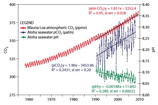 There is about 50 times as much CO 2 in the ocean as in the atmosphere Primary production removes atmospheric CO 2 from the surface ocean to deep waters as organic carbon and CaCO 3 (this process is
