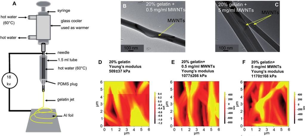 Figure 8. a) Schematic of electrospinning fiber fabrication method; b,c) TEM images of the gelatin nanofiber that includes MWNTs; d f) Young s modulus of the nanofibers made by 0, 0.