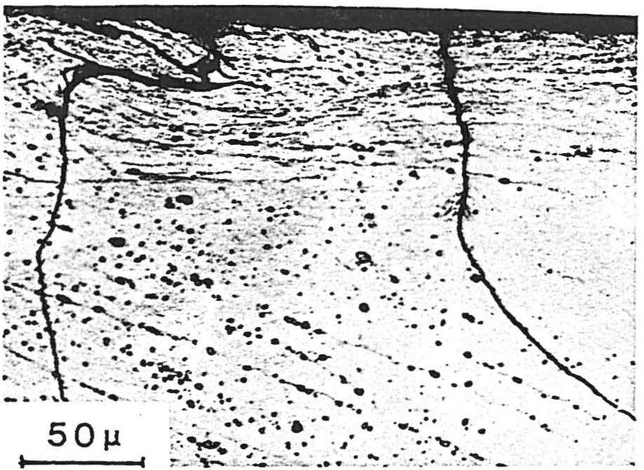 ' -':-- 1..... - _. -. Fig 5 specimen notch for alloy 8090 showing faceted nature of cracking in