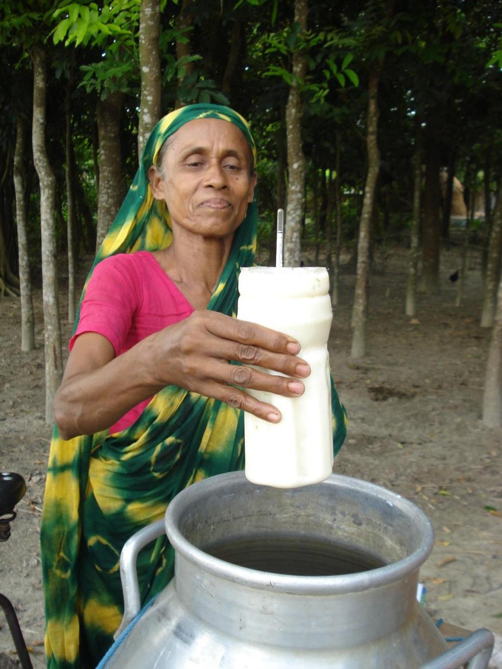 SDVC Goal: Double the dairyrelated incomes of smallholder farmers in northwest Bangladesh addressing the major challenges to