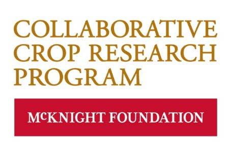 The Collaborative Crop Research Program (CCRP) Vision: CCRP seeks to contribute to a world where all have access to nutritious food that is