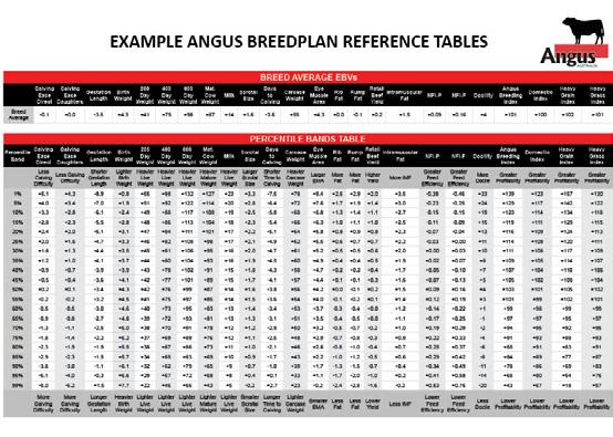 Using Angus BREEDPLAN Information Step 1 - Identifying the Selection Index of Most Relevance The first step when considering the Angus BREEDPLAN information that is provided on Angus bulls is to