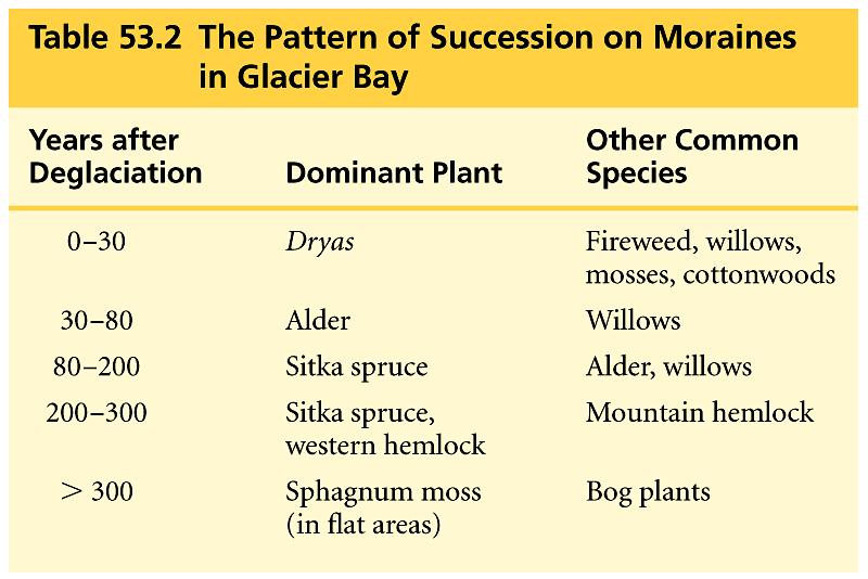 In primary succession, mosses and lichens colonize first and cause the development of