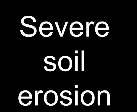 Severe soil