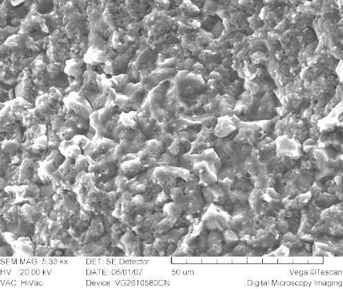 SEM was used in order to find out more information about the phenomenon. Fig 9 shows the micro fracture pattern of the sample 1-1.