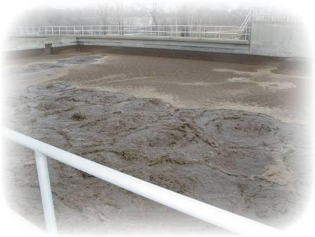 City of Bloomington Indiana Waste Water Treatment Plant The leadership of