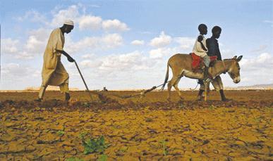 How land grabs hurt Africa Source: The Southern Times Monday, May 20, 2013 By Joshua Alter Wealthy states are currently purchasing millions of hectares of land in poor states throughout Africa.