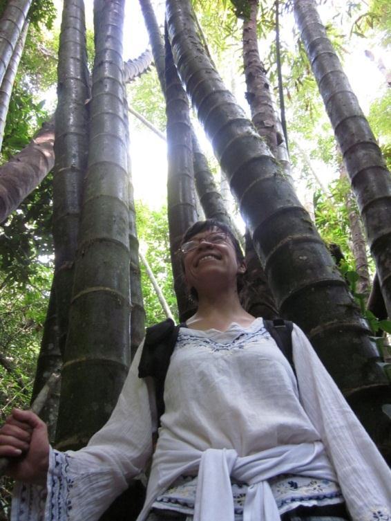 Sustainable energy production from bamboo Why bamboo?