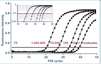 Quantitative (Real Time) PCR Real time PCR monitors the fluorescence emitted during the reactions as