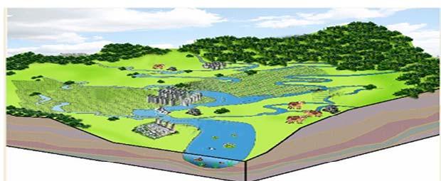 Crucial tasks Build lake fresh water production mechanisms to reduce soil erosion, purify water and restore the ecology.