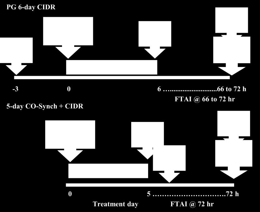 DEVELOPMENT OF THE PG 6-DAY CIDR PROTOCOL Perry et al.