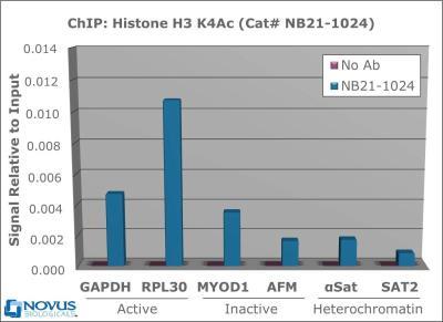 1 Updated 12/20/2018 Chromatin Immunoprecipitation: Histone H3 [ac Lys4] Antibody [NB21-1024] - Histone H3 [ac Lys4] Antibody [NB21-1024] - Chromatin from