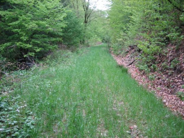 Spotlight on PROJECT WORK: Forestry s projects implement the same ESM principles and practices used by Conservation Districts on Municipal roads including pipes, underdrain, French mattresses,