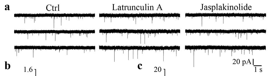 Supplemental figure 5. Basal synaptic transmission is not affected by Latrunculin A or Jasplakinolide treatment.