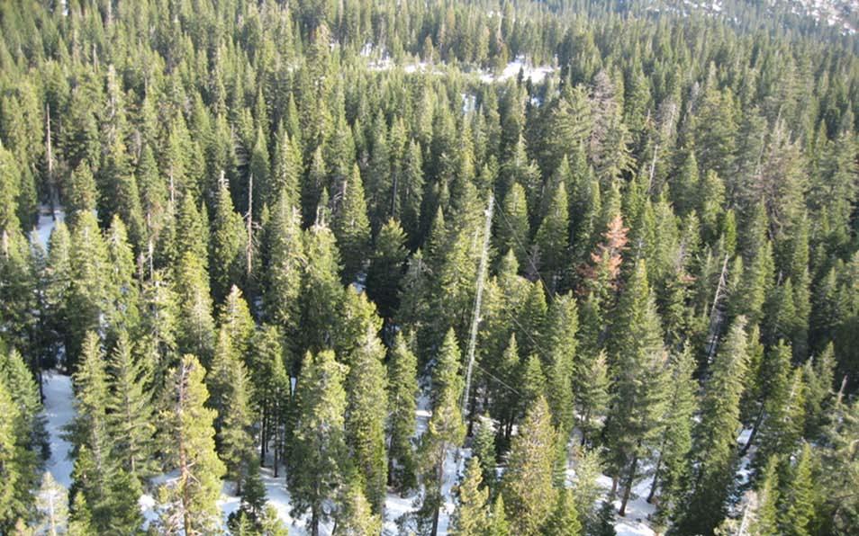 Fast facts About 2/3 of the precipitation that falls on the Sierra