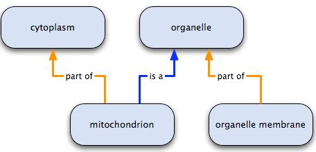 Gene Ontology (GO) Annotation Gene Ontology(GO): Hierarchical relationship based on is a or is part of is a GO:0004857 Enzyme Inhibitor Activity is a GO:0030234 Enzyme Regulatory Activity is a