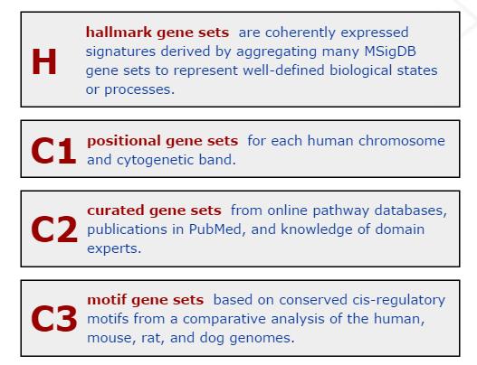 Molecular Signatures Database (MSigDB) Human