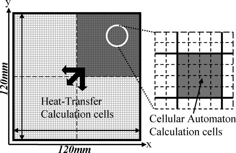 4(b)), the region of equiaxed grains was extended due to the effect of EMS. Fig. 6. Simulated solidification structure of the continuously cast billet in an Fe 0.7mass%C alloy without EMS. 3.2.