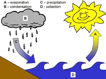 Draw a sketch of this water cycle BE SURE TO LABEL /MAKE A KEY The earth has a