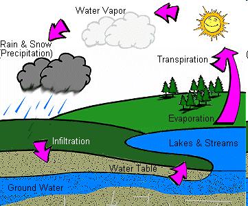 the Water Cycle! The water cycle is the continuous movement of water on earth.