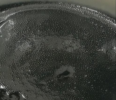 A large number of bubbles exist in the produced oil of test No.2, which forms a special state of mixture of heavy oil and solution gas, namely foamy oil.