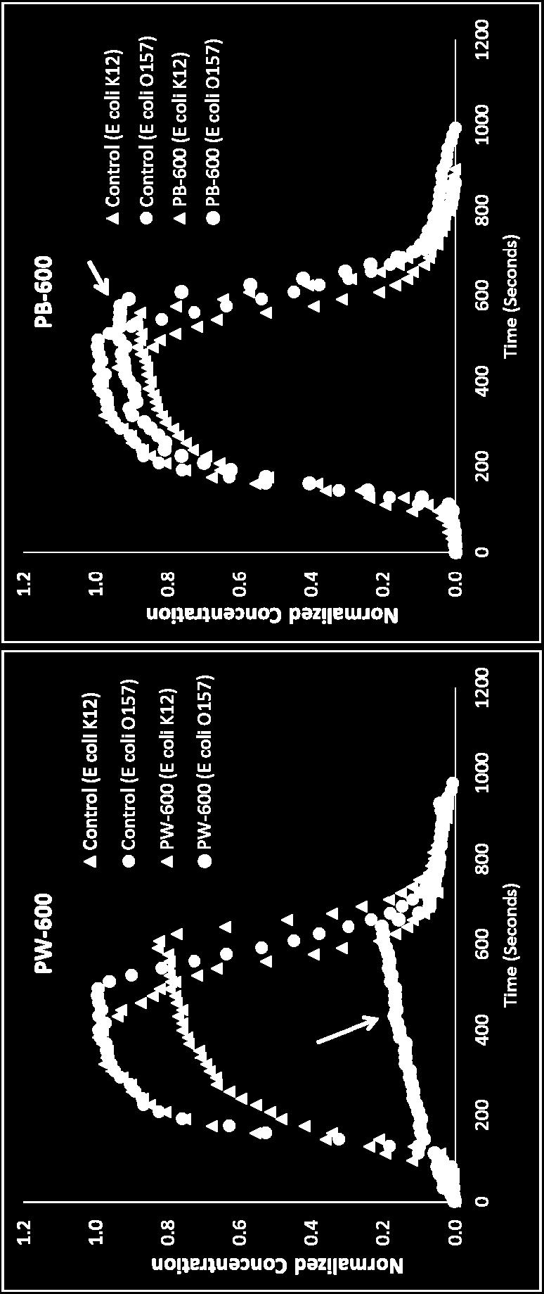 temperature on the transport of Pathogenic and Non-pathogenic Escherichia coli in