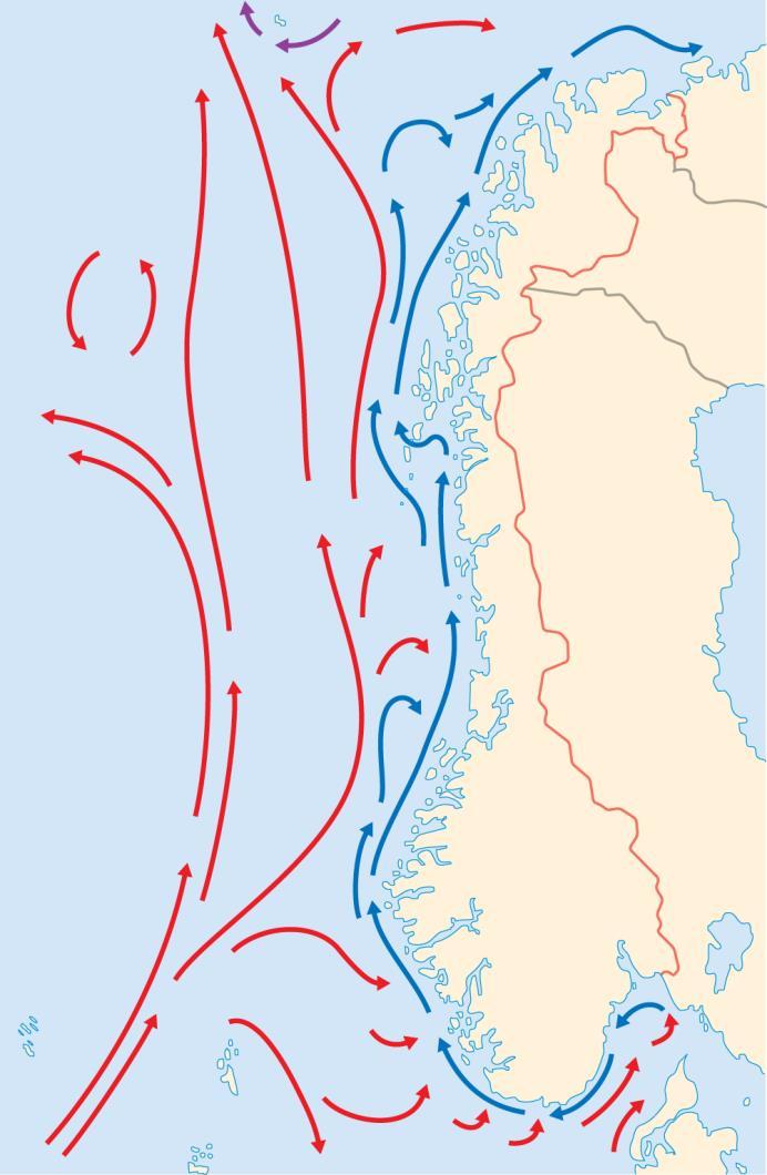 Features in favour of Norwegian Salmon Farming Long protected coastline, accessible areas Clean sea water with a high water replacement rate and good water quality Enough clean