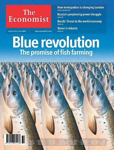 Norwegian salmon farming - part of the blue revolution Farming high-value carnivorous fish Intensive industrialized mode of production 978 marine sites for salmon