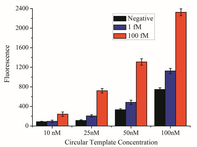 Optimization of Circular Template Concentration As demonstrated in Figure S3, the RCA signals increased along with the concentration increment of circular templates.