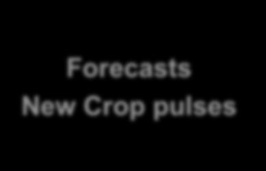 -Marketing current pulse crop